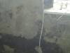 imag0327
