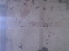 imag0228