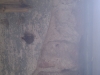 imag0229