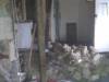 imag0354